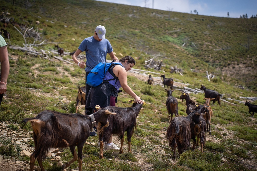 Aventura na Serra I Barragem de Santa Luzia