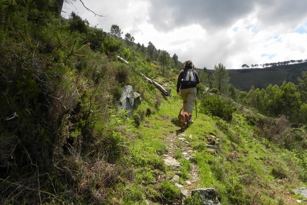 Plogging Challenge Portugal 2026 – Aigra Nova