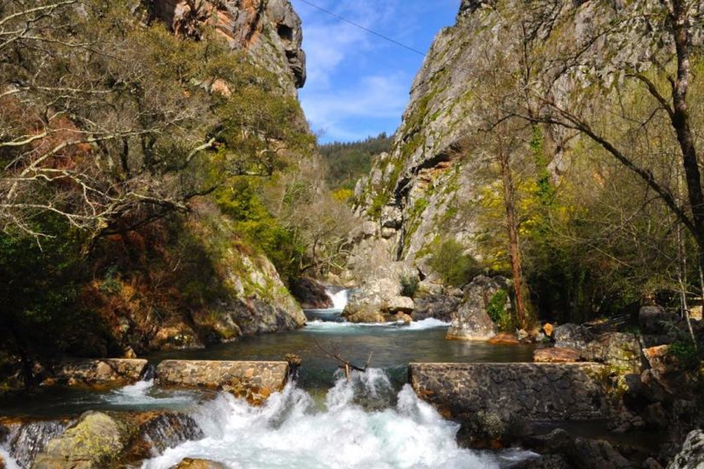 GANHA recupera habitats em Figueiró dos Vinhos