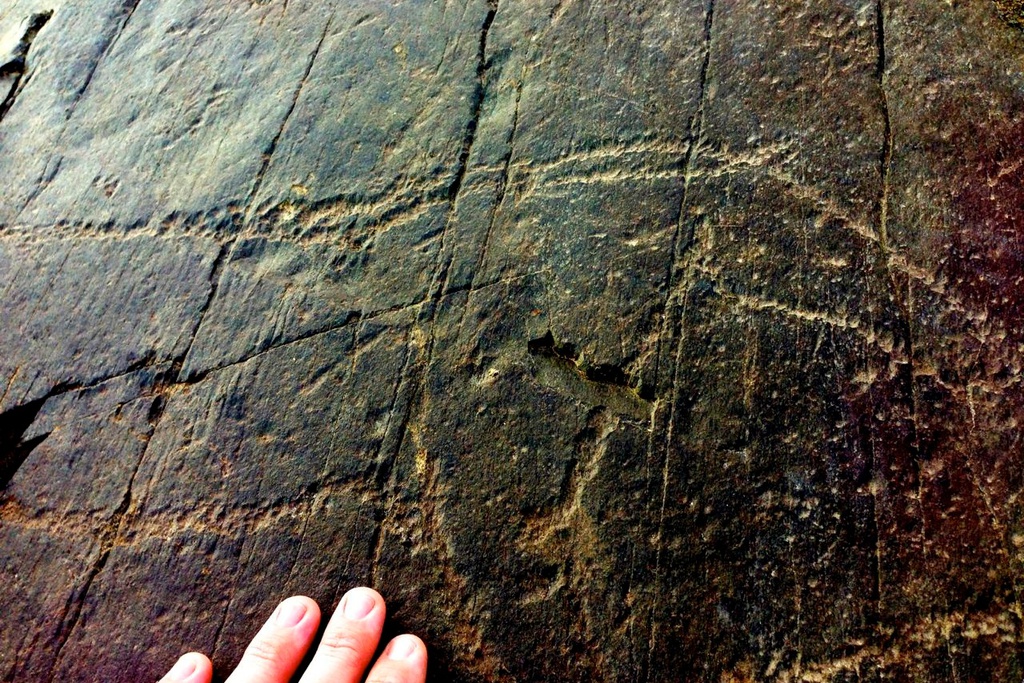 PR1 FND Barroca Schist Path - Rock Engravings Route