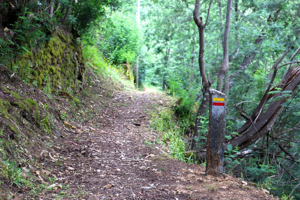 Walking Festival do Ameixial em Pampilhosa da Serra para ação de reflorestação