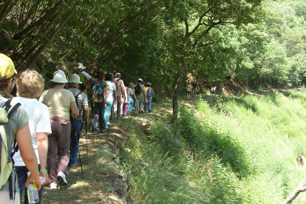 Caminhada “Rota dos Vales”