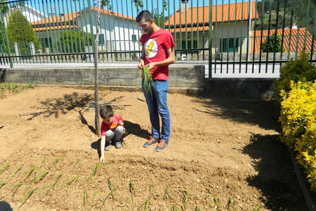 Horta Pedagógica na Escola Sede de Pampilhosa da Serra