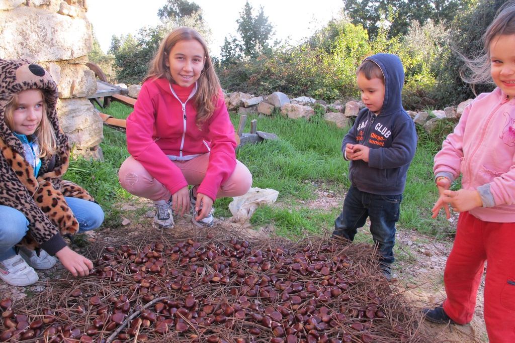 Magusto na Ferraria de São João