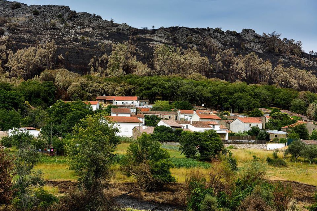 Pic-nic anual dos adotantes do sobreiral da Ferraria de São João