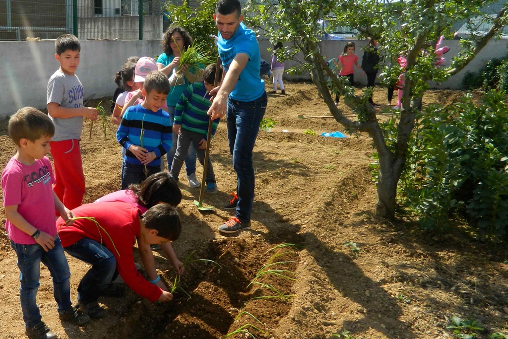 Horta Pedagógica no Centro Educativo de Dornelas do Zêzere