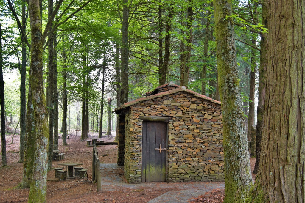Rota da Floresta I Serra da Lousã