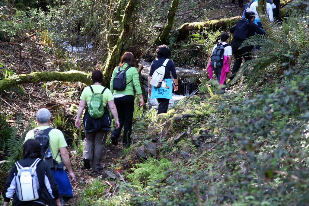 Rotas da Biodiversidade