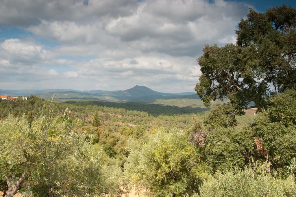 Passeio Pedestre Na Rota da Serra