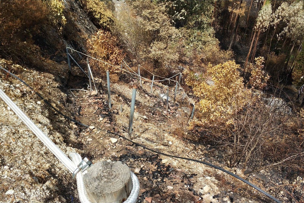 100 voluntários limpam trilho destruído pelos incêndios