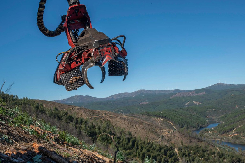 Relação entre arte, agricultura e biodiversidade em análise