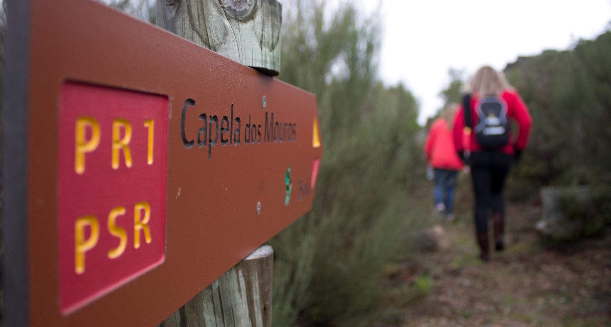 Passeio Pedestre – “Vem fotografar o Renascer”