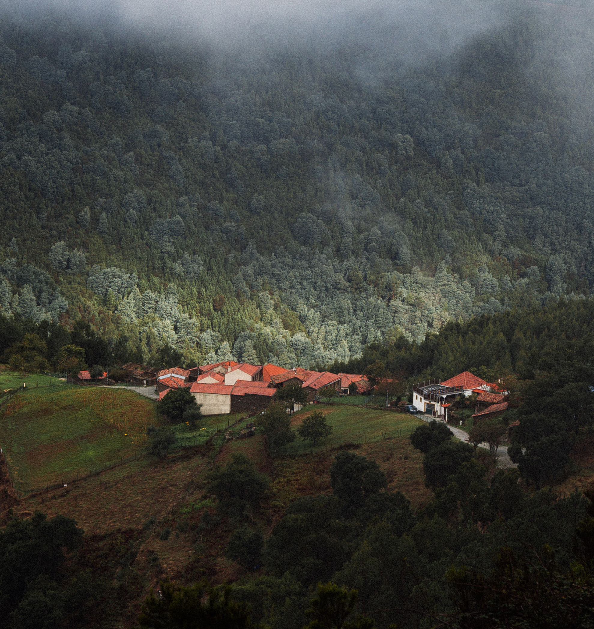 Change-making projects