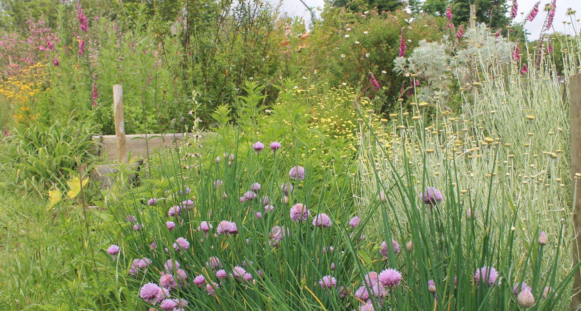 Dia da Agricultura Biológica