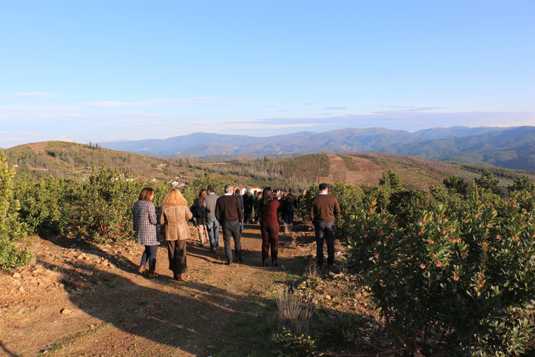 BCSD promove sessão de valorização estratégica do capital natural em Pampilhosa da Serra