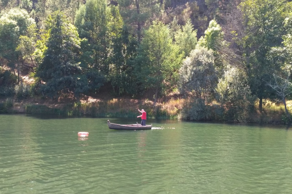 Prova de perícia com barcas tradicionais volta a reunir famílias e amigos no Zêzere