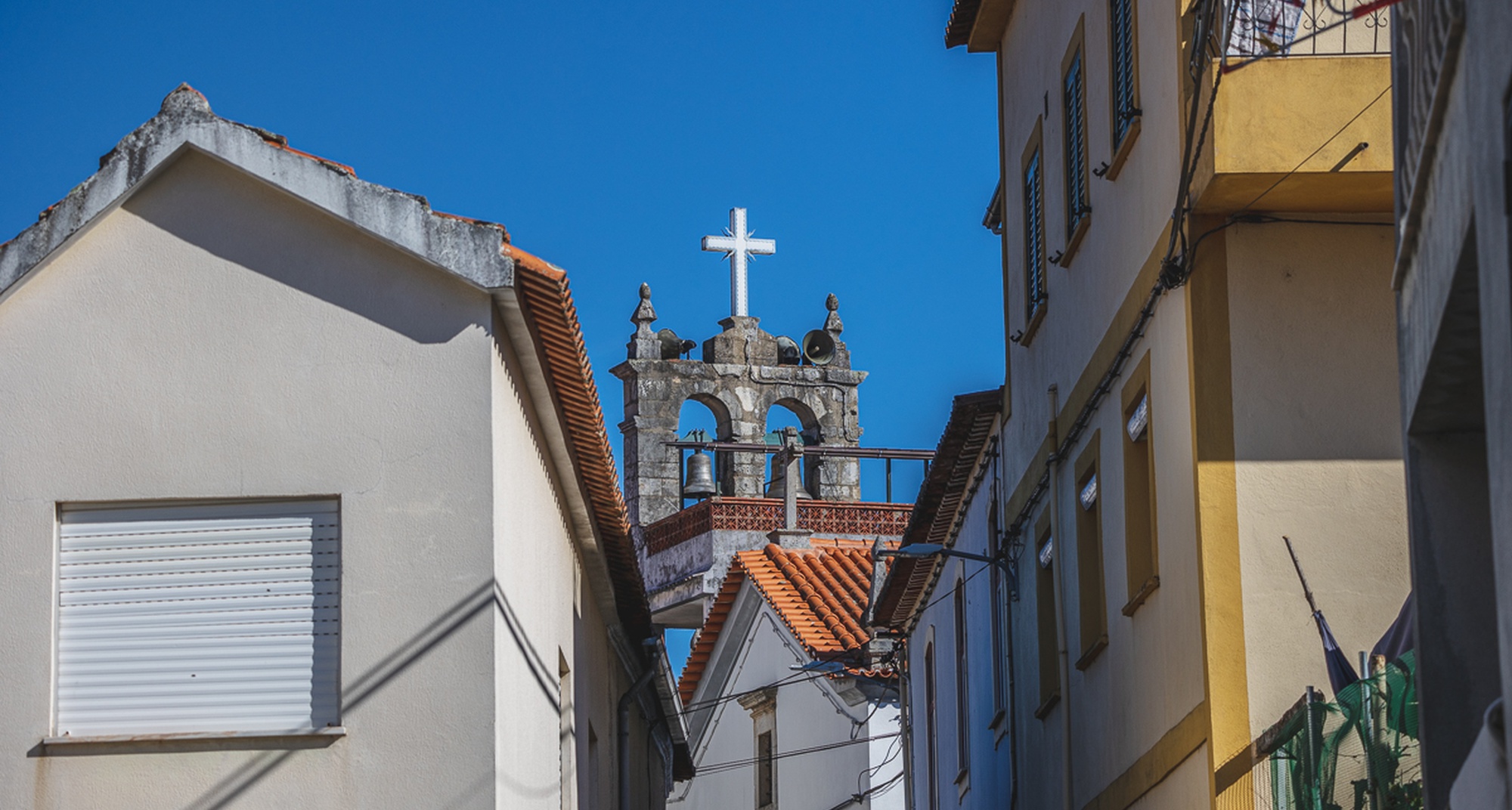 Festa de São Martinho