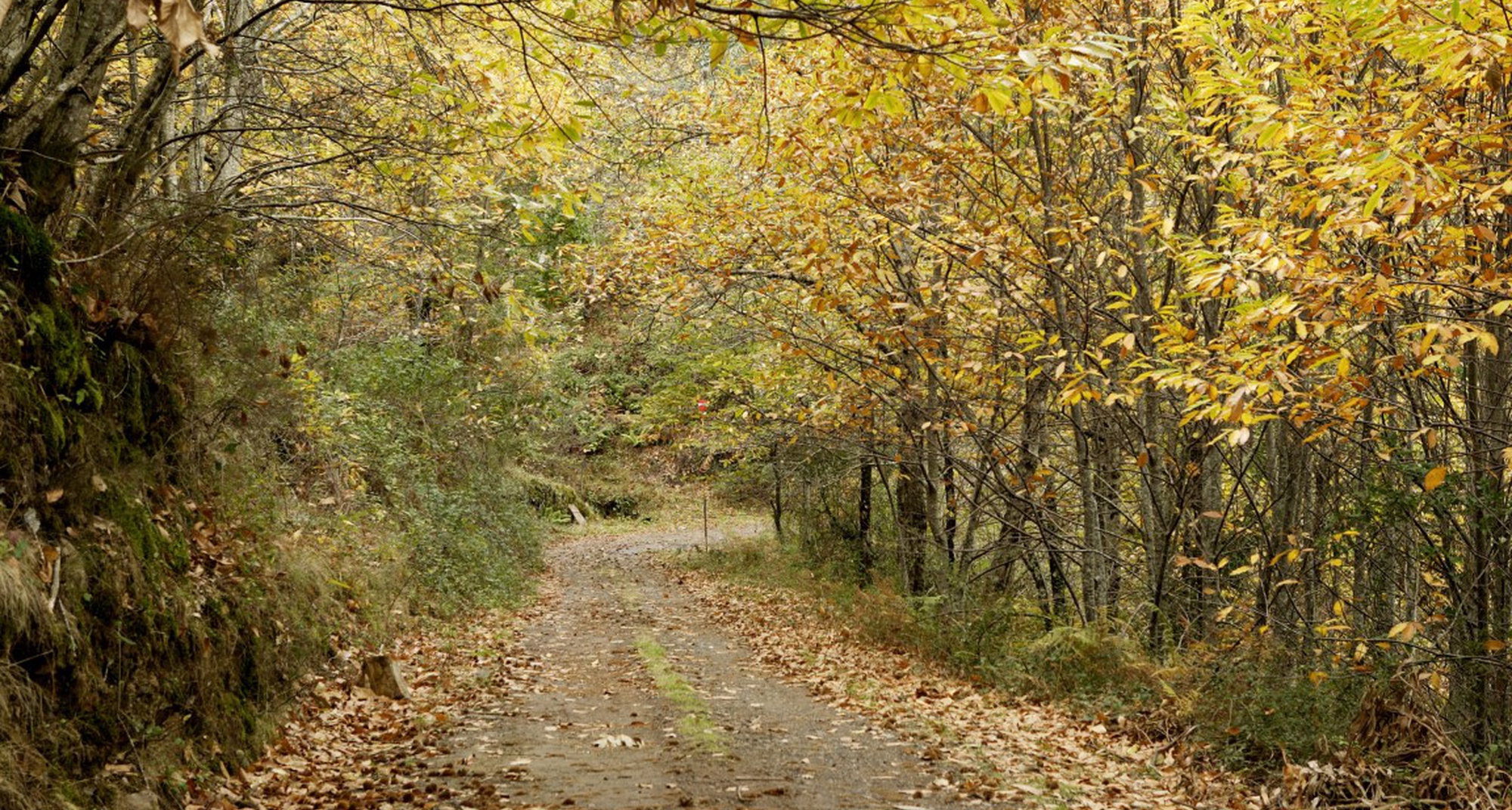 Interioridades #2 – A palavra e o pensamento de proximidade