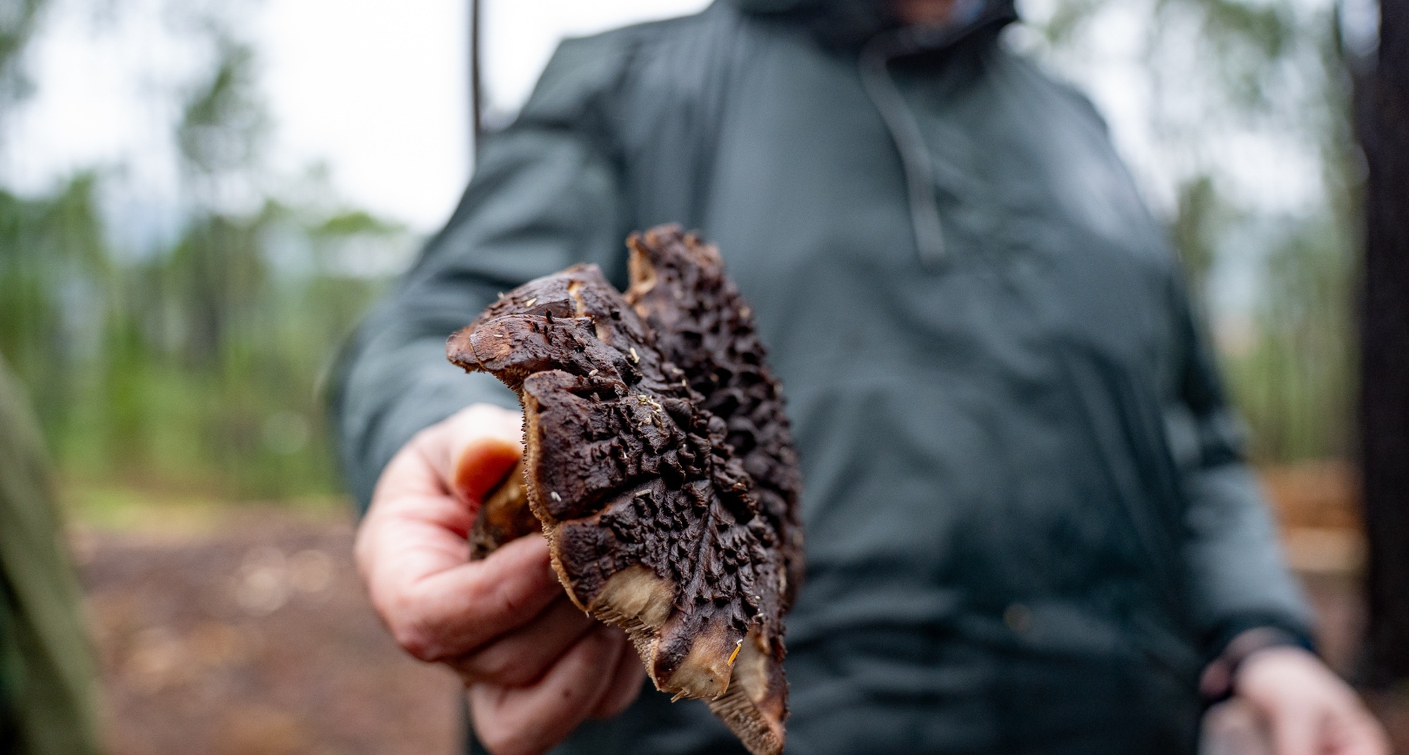 XII Reunião de Outono