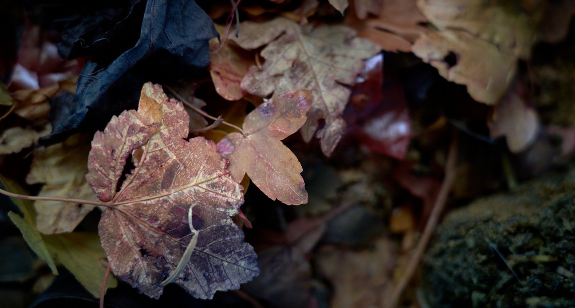 Residência Artística – FIASCO TÊXTIL
