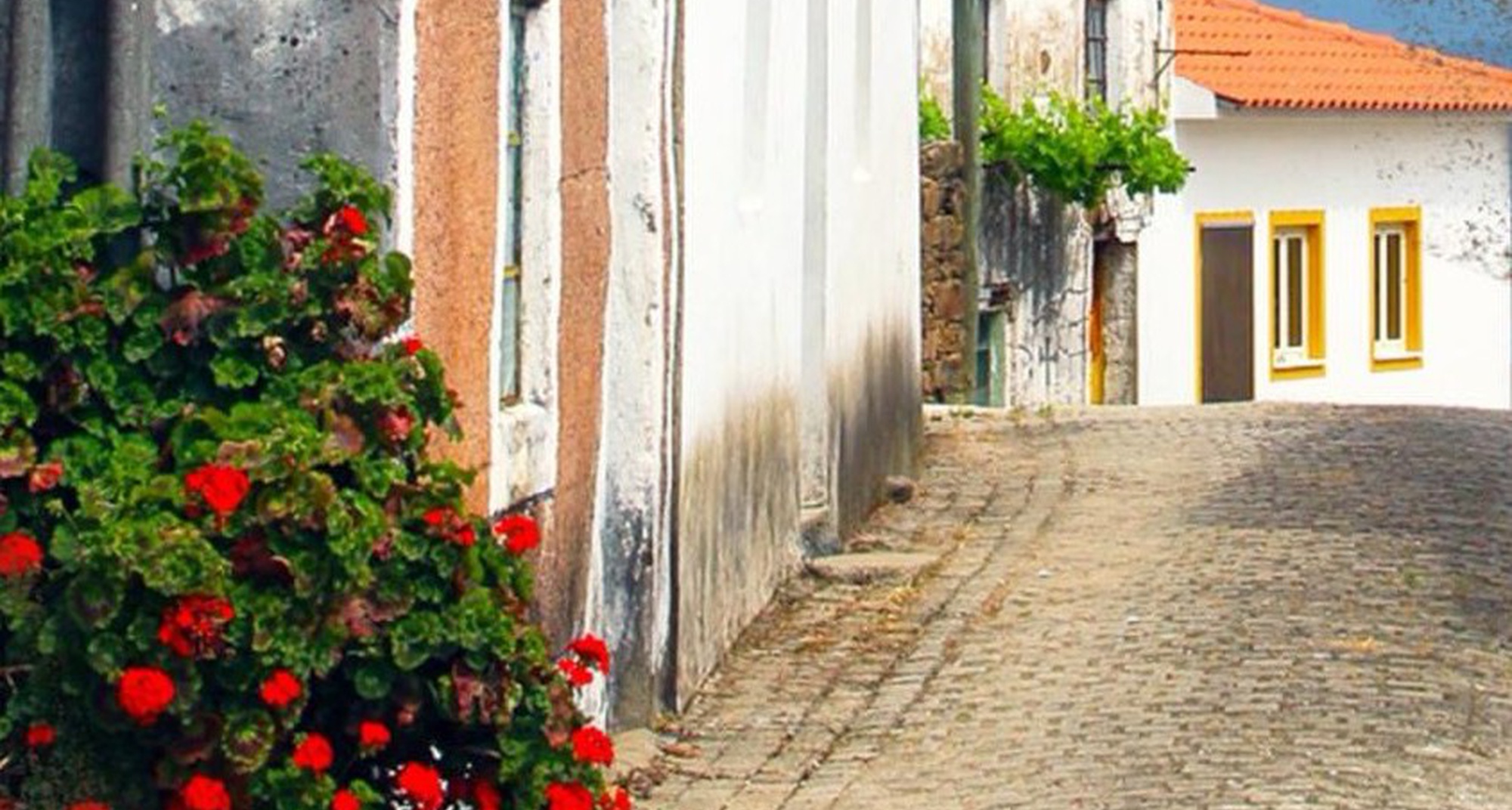 216.º Passeio Pedestre: Murteirinha