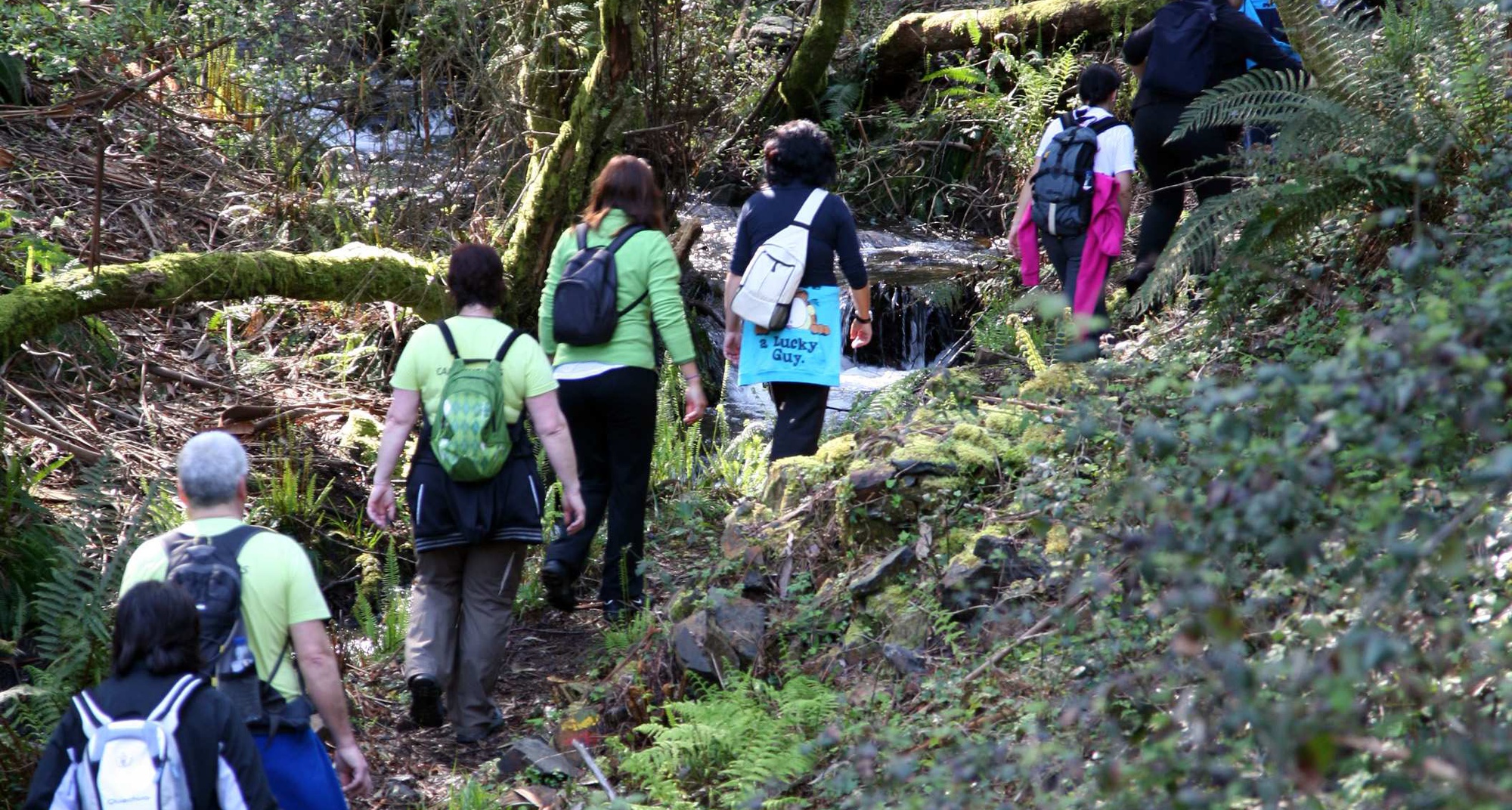 221.º Passeio Pedestre Rabacinas