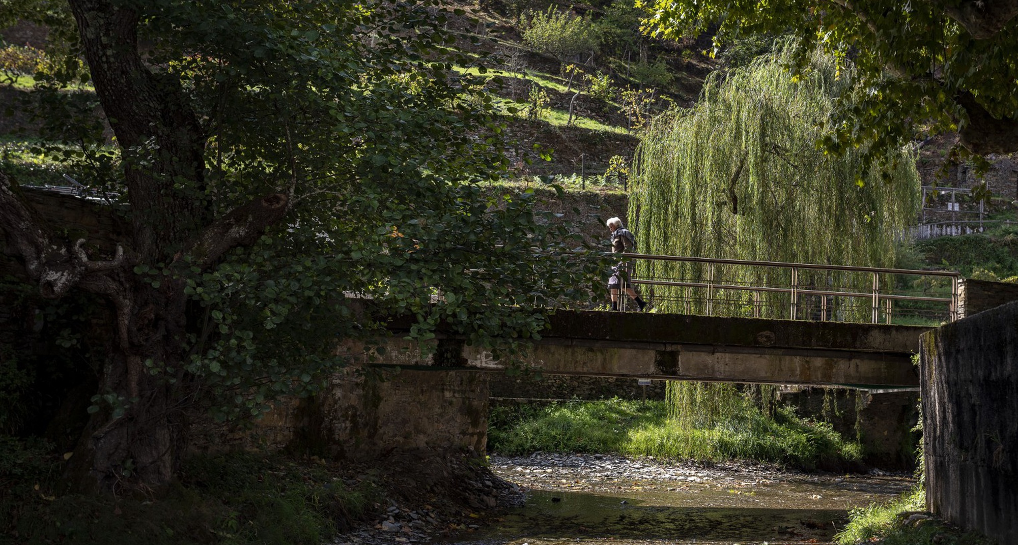 Mostra de Xinema da Benfeita