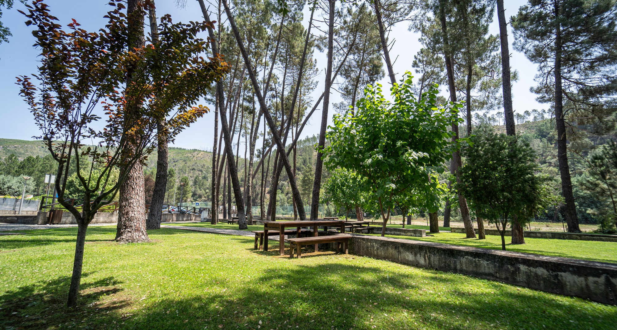 Ritmia Folk Fest - O ritmo das danças nas Aldeias de Xisto